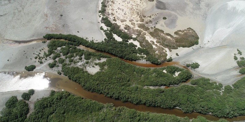 Official Registration of Al Wusta Wetland Reserve on the Global Ramsar List