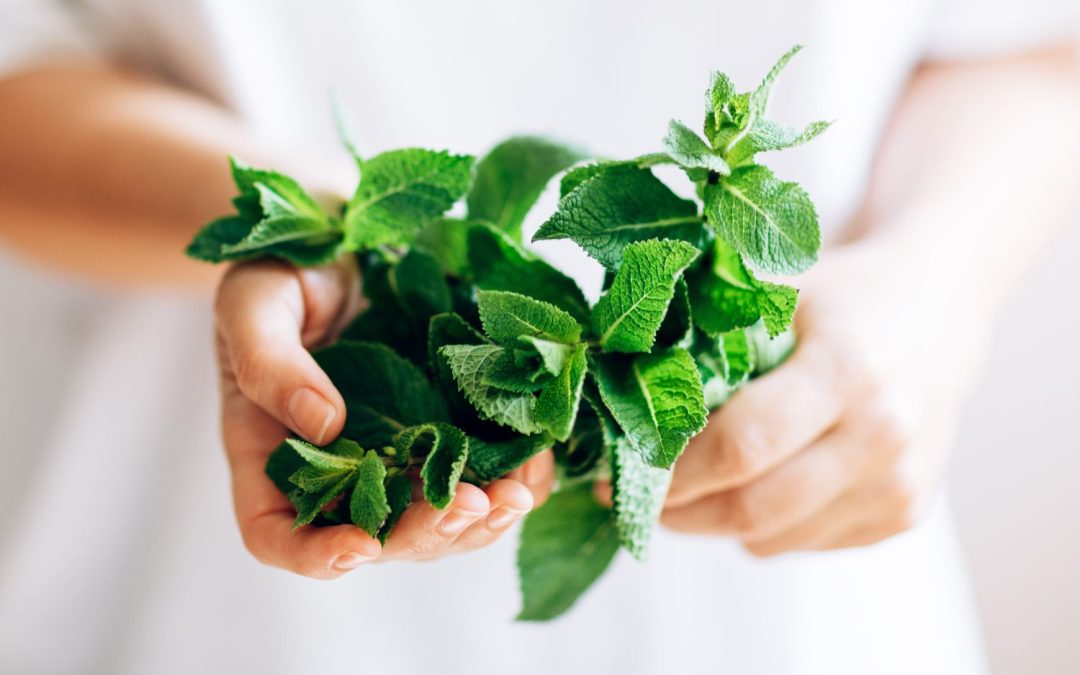 Why should we eat mint?