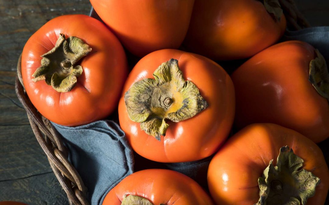 All About Persimmons
