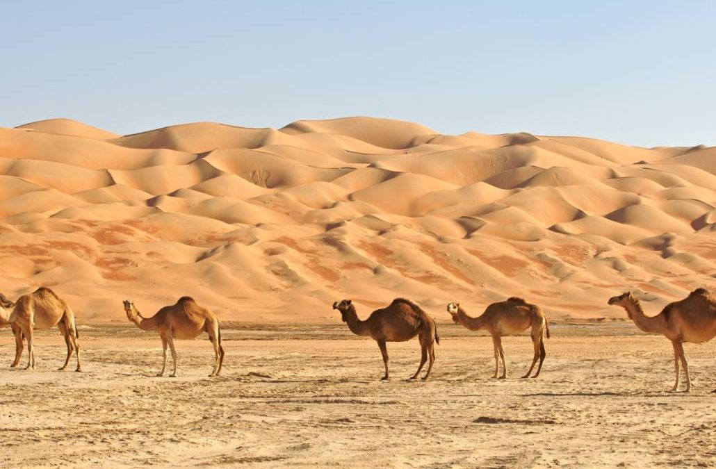 Rub’ al Khali Desert