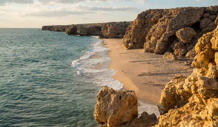 Ras Al Jinz Turtle Reserve