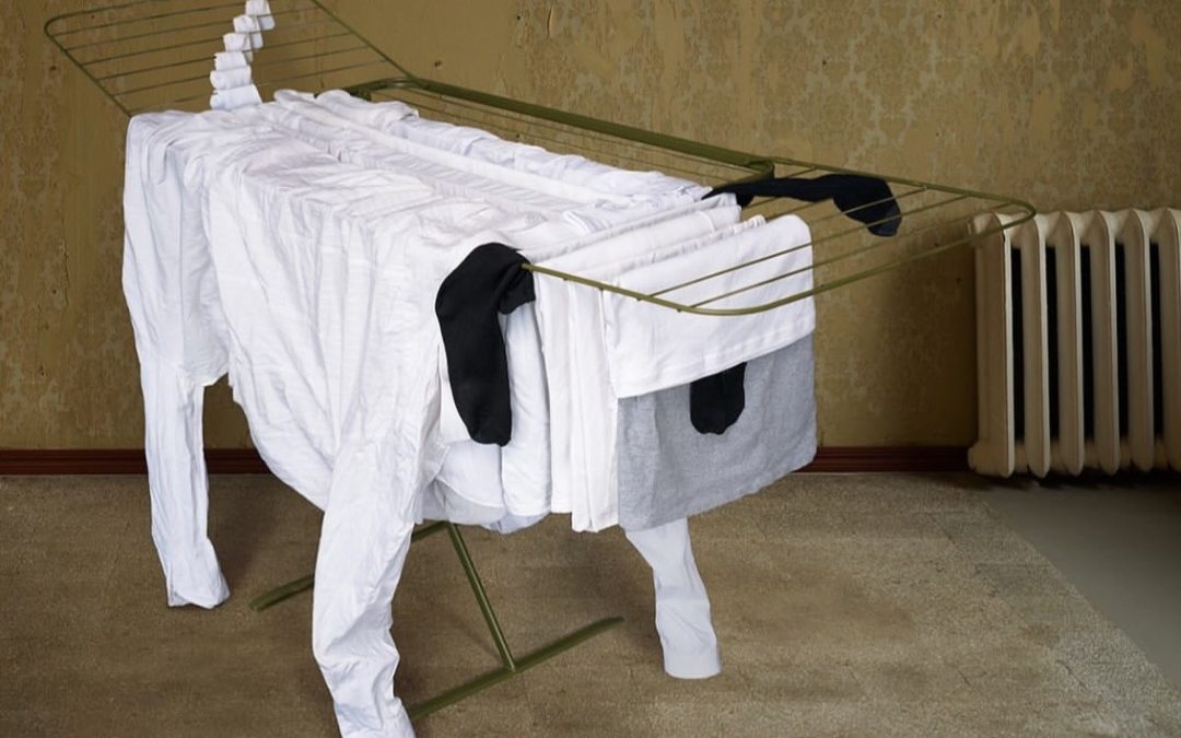 Everyday Clothes Transformed into Surreal Art