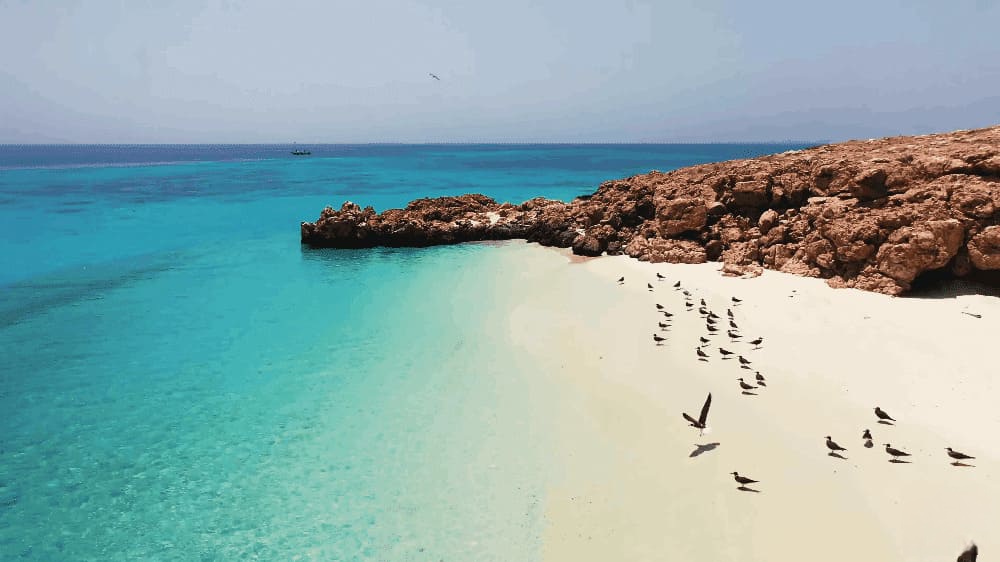 Dimaniyat Islands